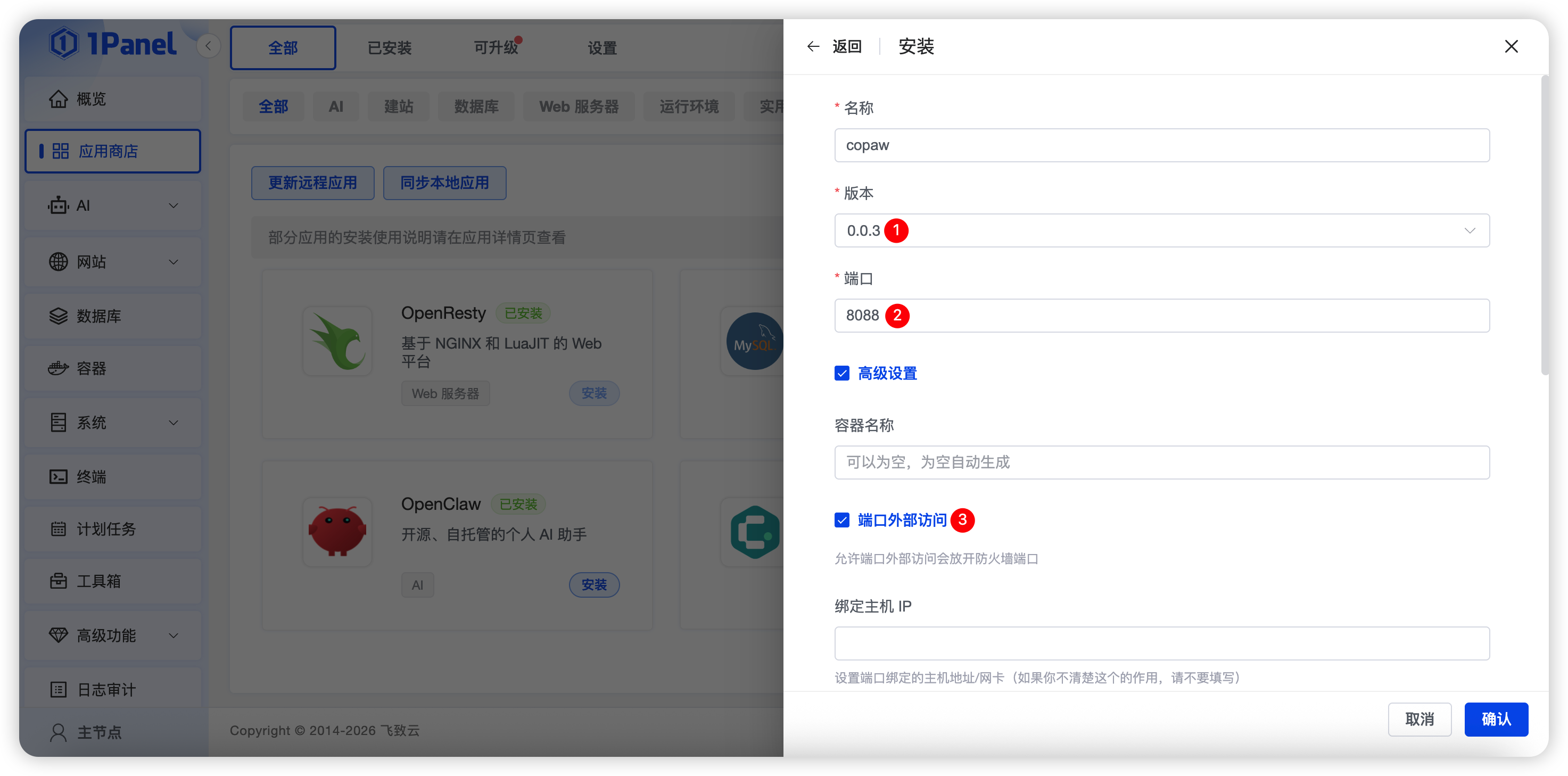 ▲图3 CoPaw安装配置页面.png